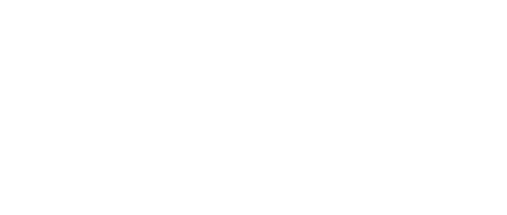Wordpress Logo