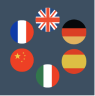 An image of the translation controls