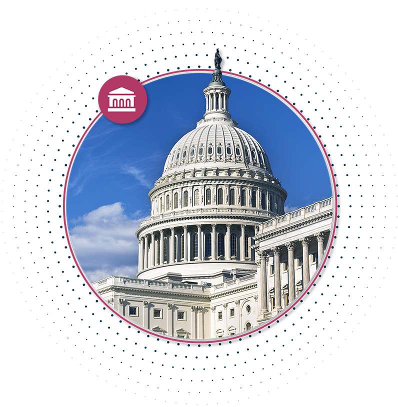 Image of the US Capitol in Washington, DC